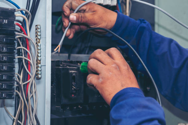 Best Affordable Electrician  in Manitou Beach Devils Lake, MI